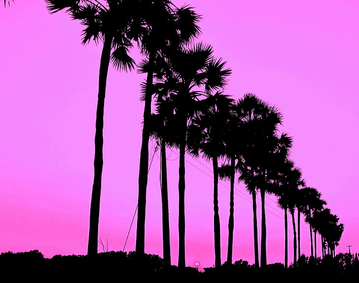 Cute Trees, palm trees, Aero, Colorful, Purple, Black, Silhouette.