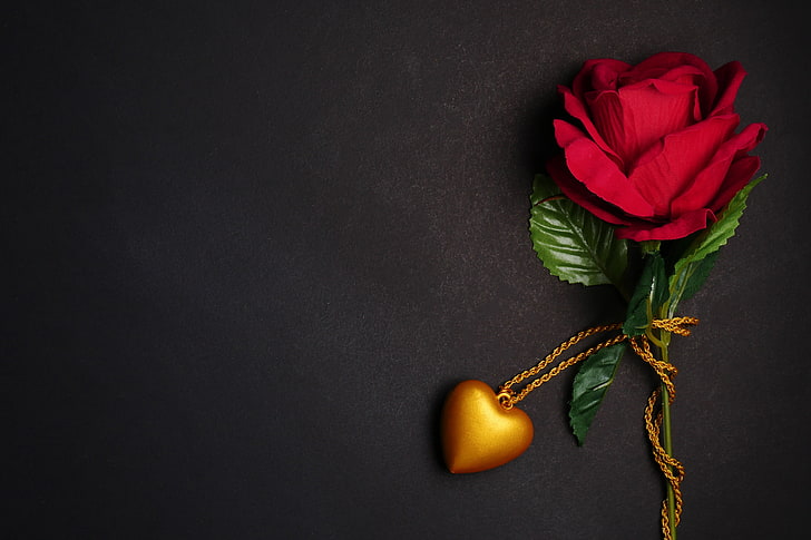 HD wallpaper: flowers, gift, heart, rose, pendant, red, love, black  background | Wallpaper Flare