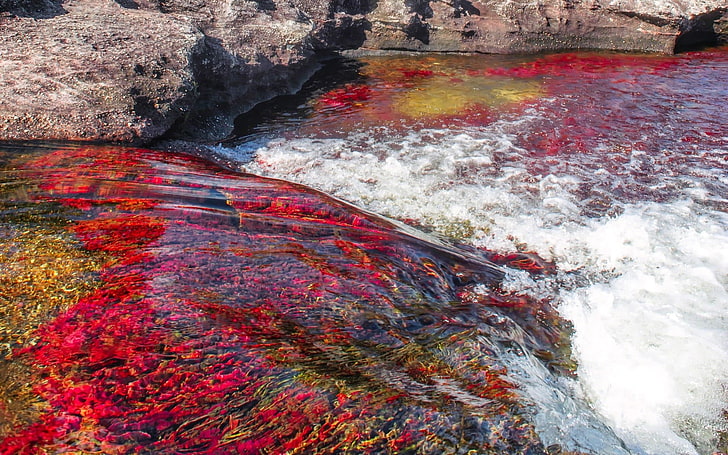 cano cristales, water, rock, beauty in nature, motion, solid, HD wallpaper