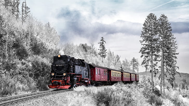 track, transport, rail transport, train, forest, winter, snow, HD wallpaper