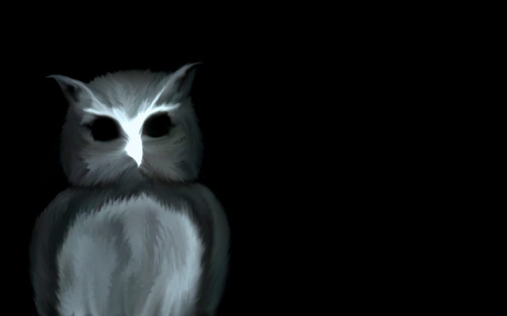 Black owl photo white monochrome face eyes feathers wallpaper | 1920x1200 |  55074 | WallpaperUP