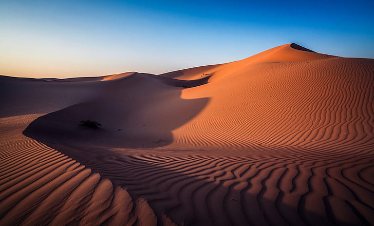 desert, Abu Dhabi, UAE, HD wallpaper