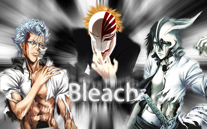 HD wallpaper: Bleach movie, anime, Kurosaki Ichigo, Ulquiorra Cifer,  Grimmjow Jaegerjaquez | Wallpaper Flare