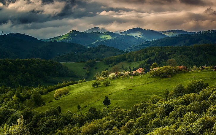 green field and mountains, nature, landscape, spring, forest