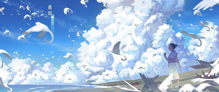 birds, clouds, Mushishi, sky, one person, cloud - sky, adult