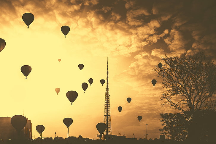 silhouette photo of air balloons during sunset, hot air balloons