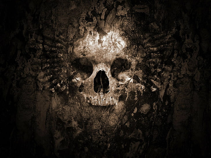 skull, artwork, HD wallpaper
