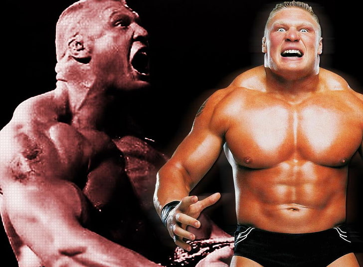 HD wallpaper: Brock Lesnar, WWE, heavyweight championship, wwe champion,  american | Wallpaper Flare