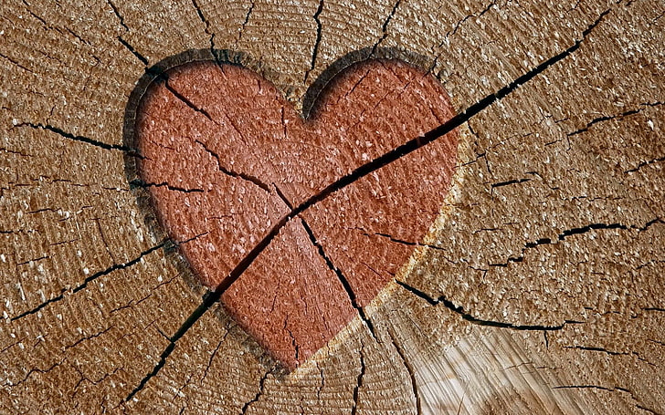 broken heart illustration, tree, pink, brown, heart Shape, love