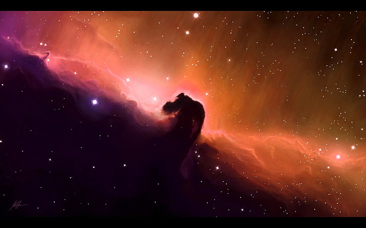 outer space stars shining horsehead nebula gas cloud skyscapes 2560x1600  Animals Horses HD Art