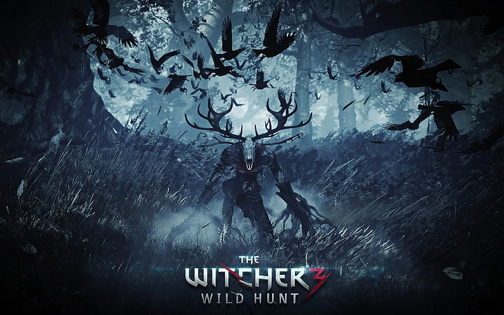The Witcher Wild Hunt wallpaper, The Witcher 3: Wild Hunt, video games, HD wallpaper