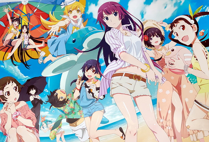Anime, Monogatari (Series), Hitagi Senjōgahara, Karen Araragi, HD wallpaper