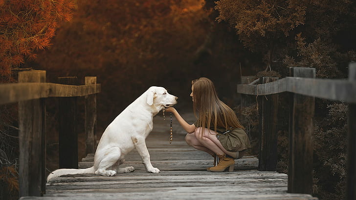 Labrador, girl, dog, cream labrador retriever, bridge, HD wallpaper