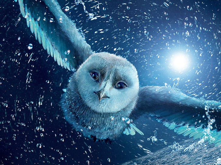 HD wallpaper: white owl illustration, flight, night, cartoon, animal, cute  | Wallpaper Flare