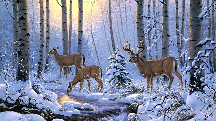 wildlife, fauna, painting, winter, snow, deer, tree, woodland, HD wallpaper