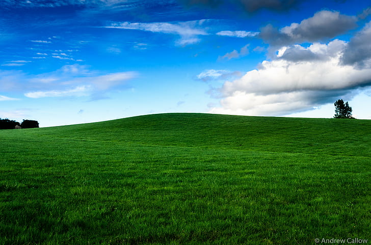 green grassy hill under blue sky, Three Choirs, Vineyard, nikon, HD wallpaper