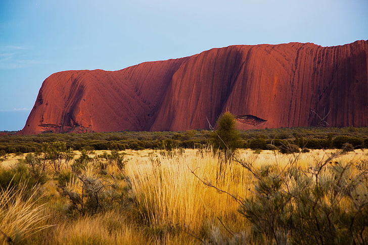 brown mountain, nature, desert, morning, Australia, Uluru, Ayers Rock, HD wallpaper
