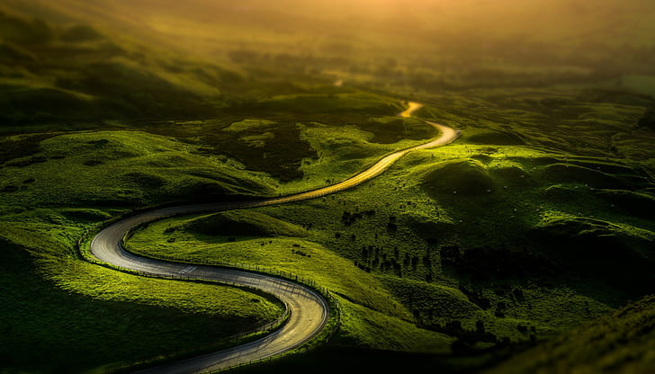 Green dreamland, sun, wonderland, road, HD wallpaper