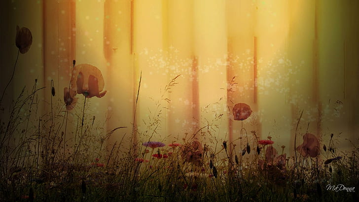 Poppies On The Wall, firefox persona, vintage, building, flowers, HD wallpaper