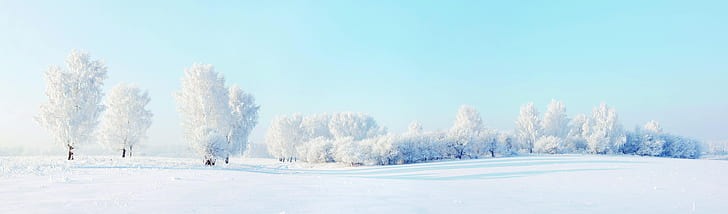 snow, trees, landscape, winter, HD wallpaper