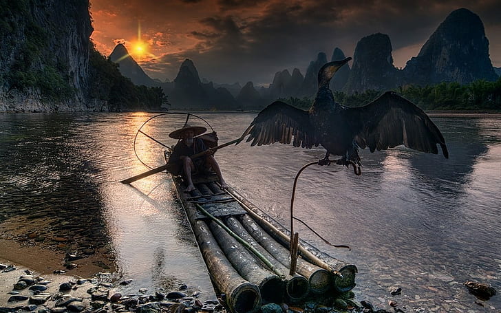 birds, sky, river, nature, fisherman, China, forest, cormorant, HD wallpaper