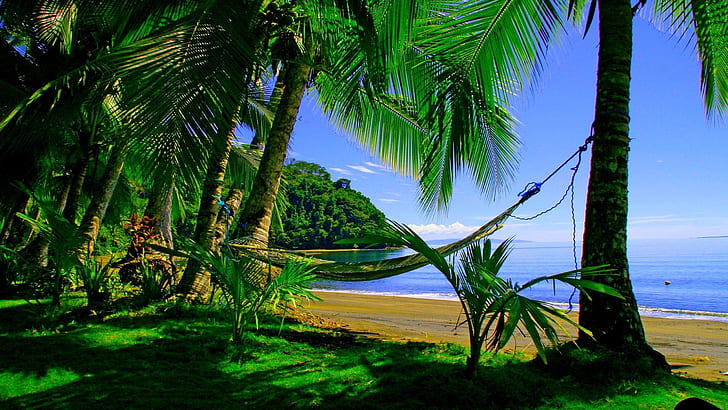 Green Paradise Hawai, HD wallpaper