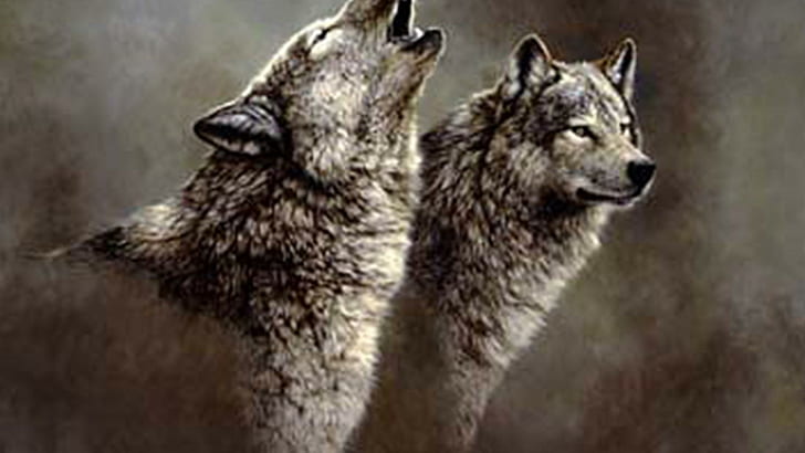 Wolf Song, animals, fantasy, grey wolf, nature, wolves howling