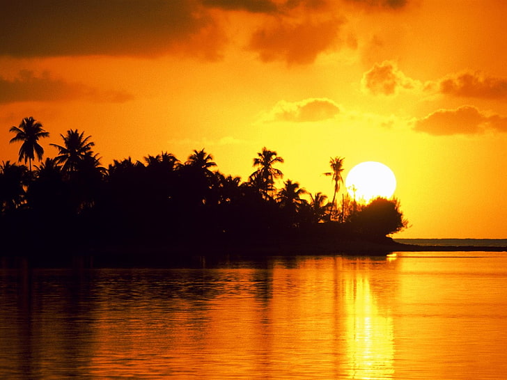 sunset, sunlight, water, sky, tree, scenics - nature, tropical climate, HD wallpaper