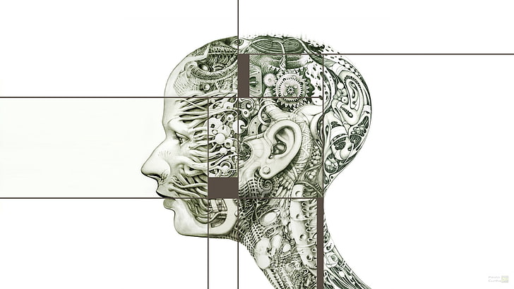 human head with gear illustration, abstract, face, clockworks, HD wallpaper