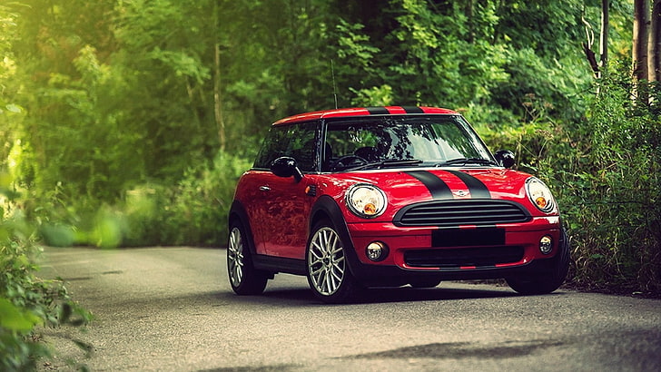 red and black Mini Cooper on road, car, stripes, nature, forest