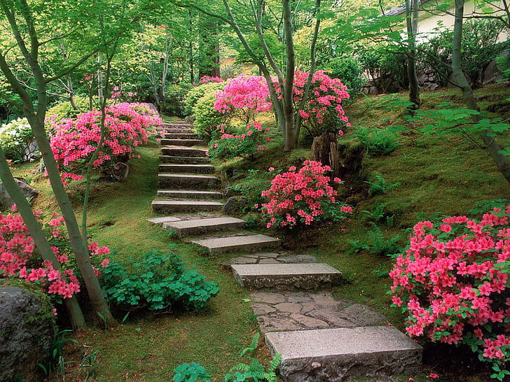 Azaleas Japanese Garden HD, flowers, HD wallpaper