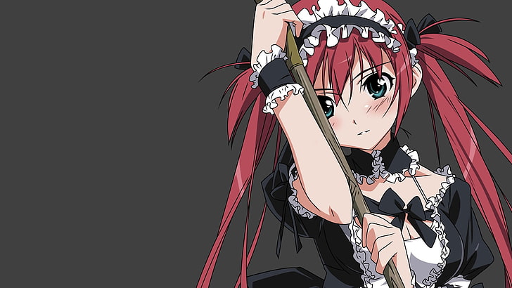 Airi (Queen's Blade), anime girls, twintails, arts culture and entertainment, HD wallpaper