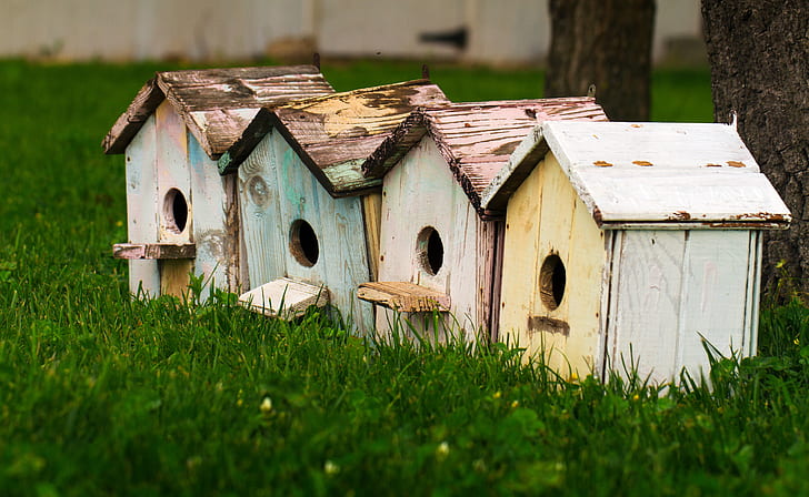 birdhouses, grass, outdoors, wood, HD wallpaper