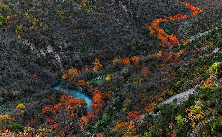 red and green leaf trees, aerial photo of river, mountains, nature