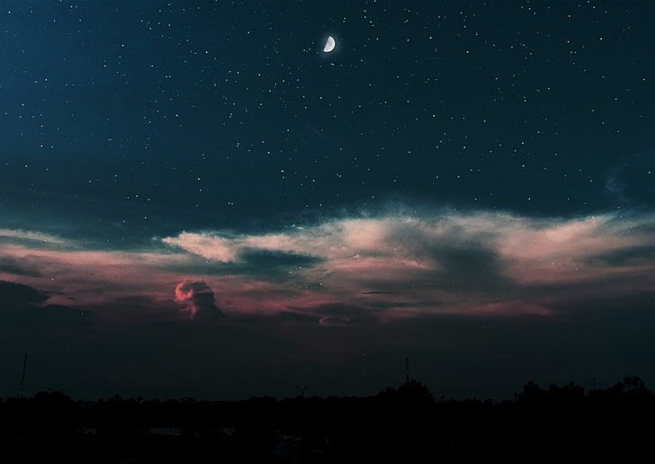 silhouette of tree, starry night, astronomy, star - Space, sky