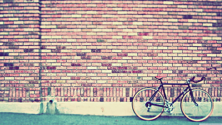 wall, bicycle, bricks, outdoors, blurred