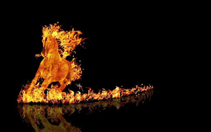 Unicorn of fire, orange burning horse, digital art, 1920x1200