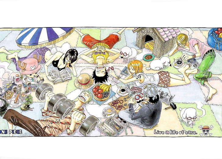 One Piece art, Roronoa Zoro, Sanji, Nico Robin, Monkey D. Luffy