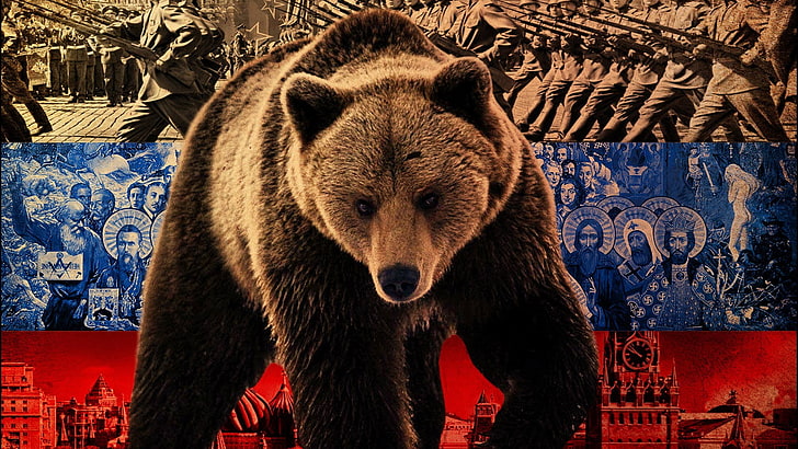 grizzly bear illustration, Russia, mammal, animal wildlife, one animal, HD wallpaper