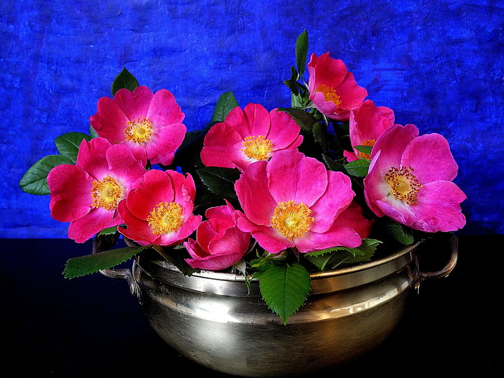 Pink flowers, petals, vase