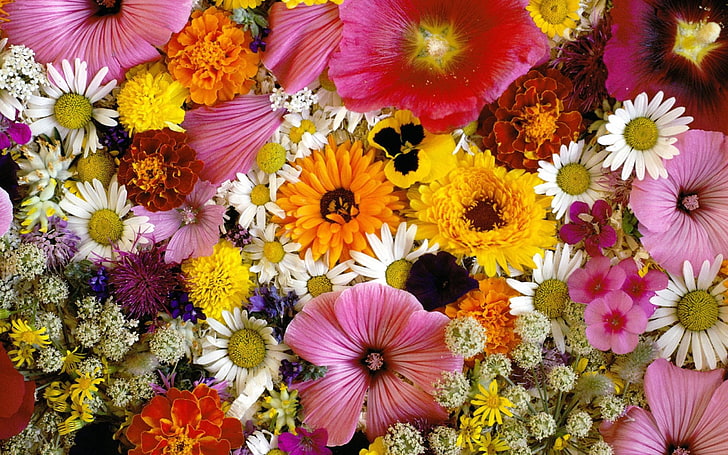 assorted-color flowers wallpaper, arrangements, bouquets, beautifully, HD wallpaper