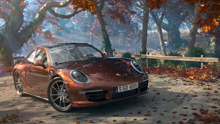 brown Porsche Cayman S, road, machine, autumn, leaves, trees