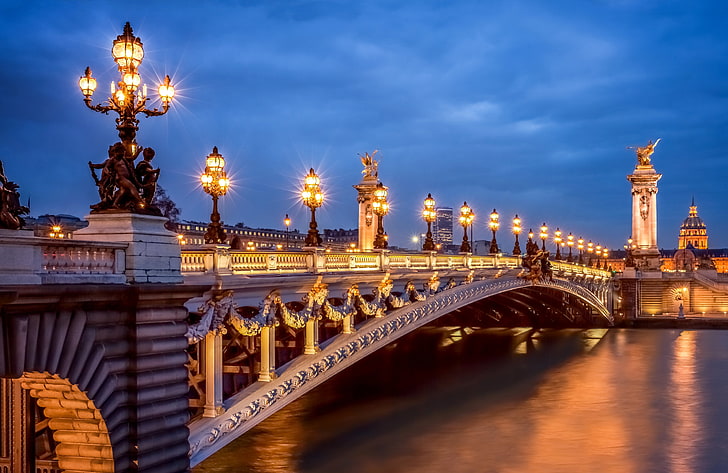 brown concrete bridge, light, the city, river, France, Paris