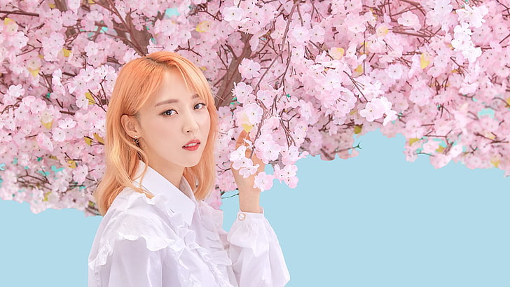 Mamamoo, K-pop, women, flower, flowering plant, young adult
