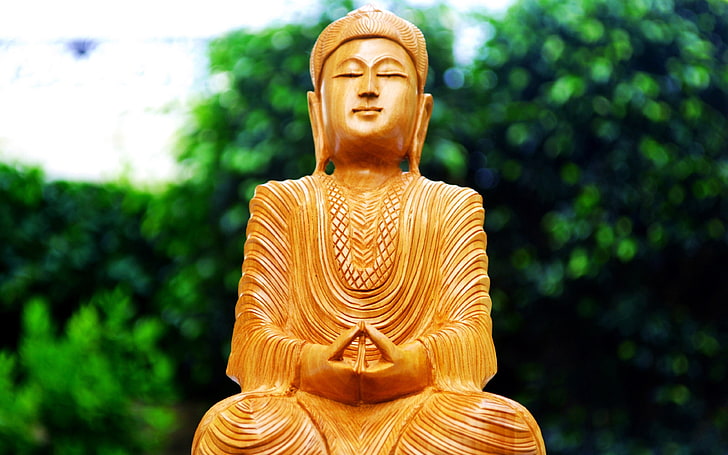 Lord Buddha Meditating Sitting, brown Gautama Buddha, God, green, HD wallpaper