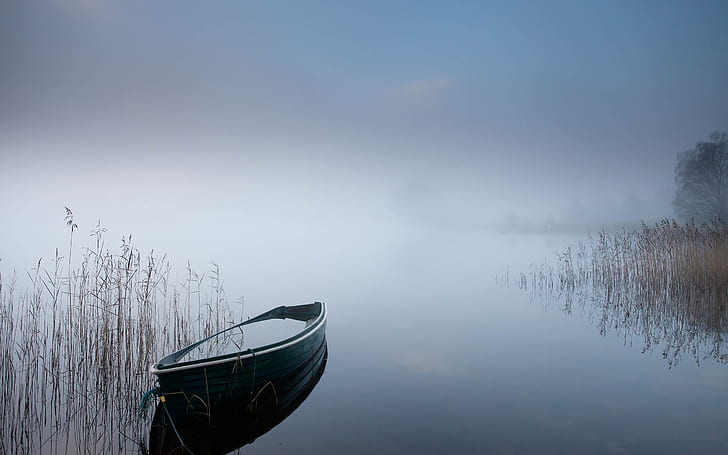 Boat Rowboat Lake Fog Mist HD, gray canoe, nature