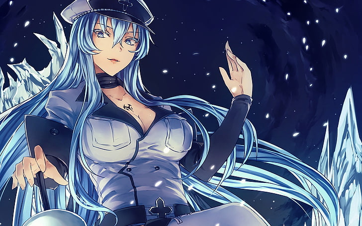 blue haired female anime character wallpaper, Esdeath, anime girls