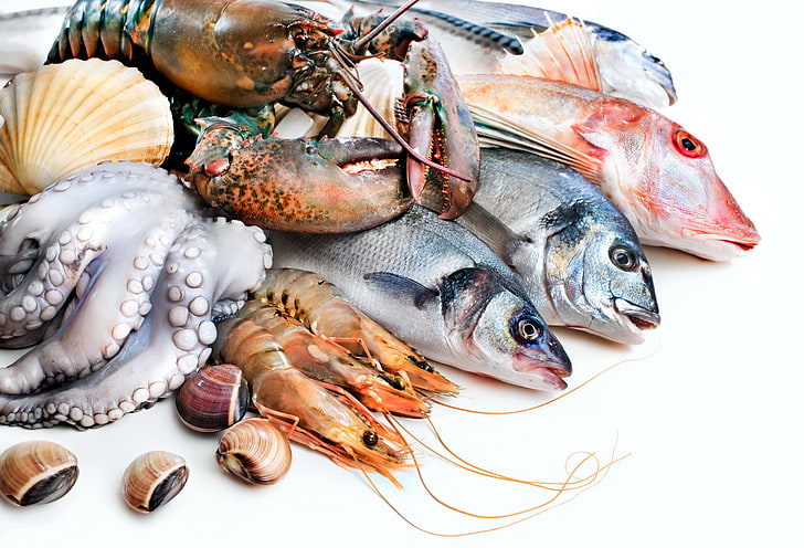 sea foods, fish, octopus, Omar, shrimp, seafood, freshness, raw Food, HD wallpaper