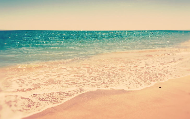 seashore, beach, sand, sea foam, coast, land, water, horizon over water, HD wallpaper
