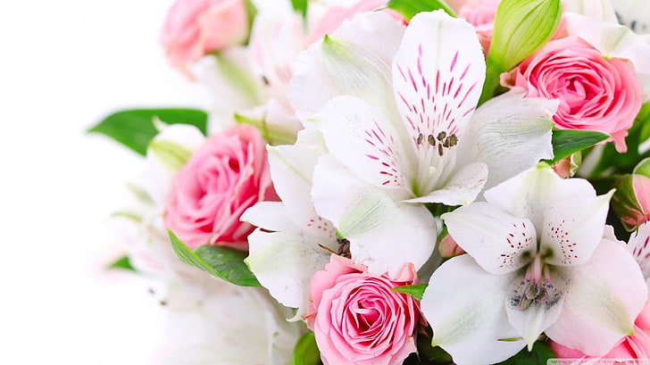 bouquet of white and pink flowers, bouquets, lilies, flowering plant